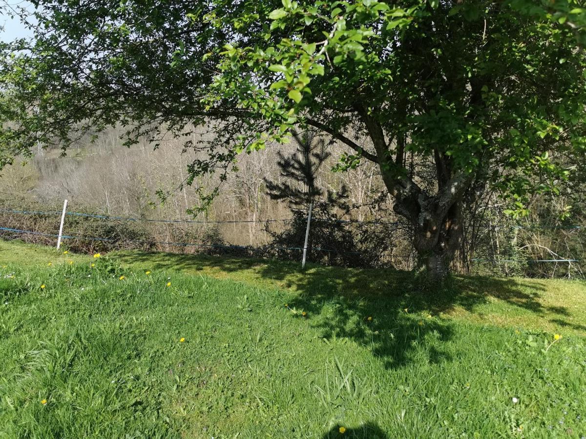Gites Etche Arguinia Montory Exteriör bild